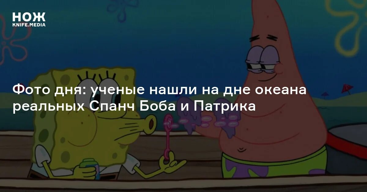 Кто на дне океана спанч. Кто живёт на дне океана спанч боб. Кто проживает на дне. Песня спанч боба кто проживает. Кто обитает на дне океана губка боб.