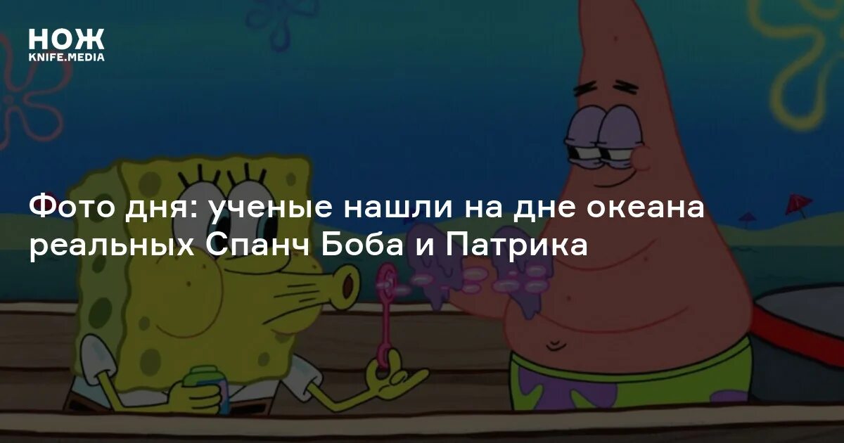 Губка Боб и Патрик на дне океана. Кто живёт на дне океана Спанч Боб. Ученые нашли Спанч Боба. Фото губки Боба и Патрика на дне океана.