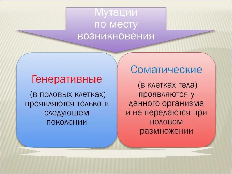 Соматические и генеративные мутации таблица. Соматические и генеративные мутации. Соматические и генеративные мутации примеры. Причины генеративных мутаций. Генеративные изменения