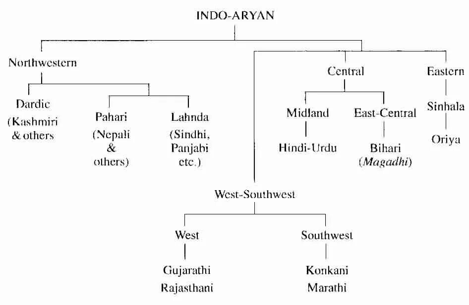 Семья арии. Indo Aryan languages. Лахнда язык. Aryan Family. Языковые семьи.