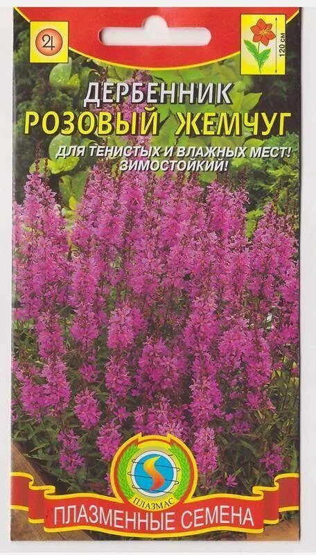 Дербенник иволистный семенами. Дербенник иволистный семена. Семена цветов гавриш дербенник иволист. Дербенник розовый жемчуг семена. Дербенник.