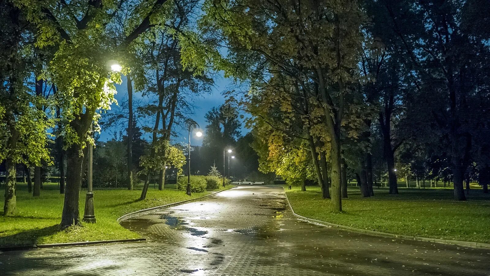 Лето ночной город. Город ночью. Лето ночь город. Сан-франциско набережная фонарь. Осенняя улица нижний новгород.