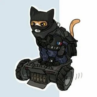 Кс коте
