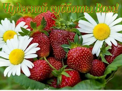 Лето 33