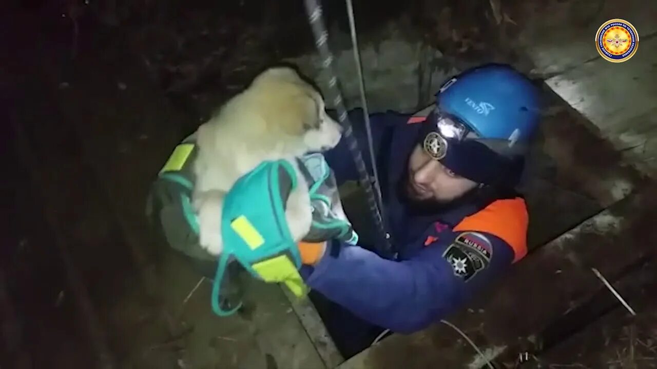 Эвакуация и спасение из озп. Спасение из колодца мчс. спасение из емкости. поисково спасательные собаки.