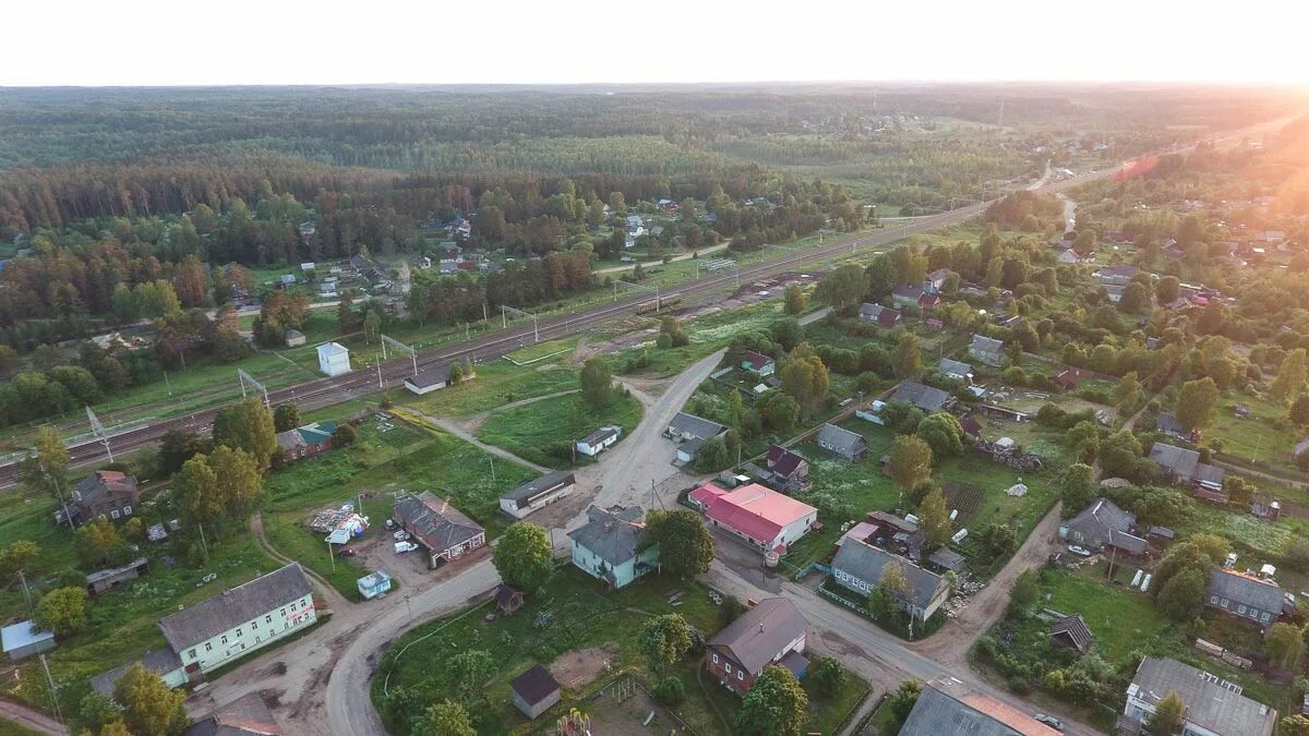 Город рогов какая область. Боровенка Окуловский район. Боровенка Новгородская область. Боровенка Окуловский район Новгородская область. Деревня Боровенка Новгородская область.