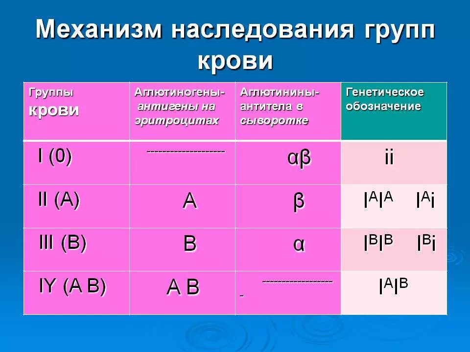 Как обозначается 1 группа крови резус положительный. Какими буквами обозначается резус фактор крови. Как обозначается группа крови и резус-фактор 1. Как обозначается 2 положительная группа крови.