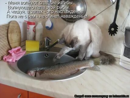 Пока воняет