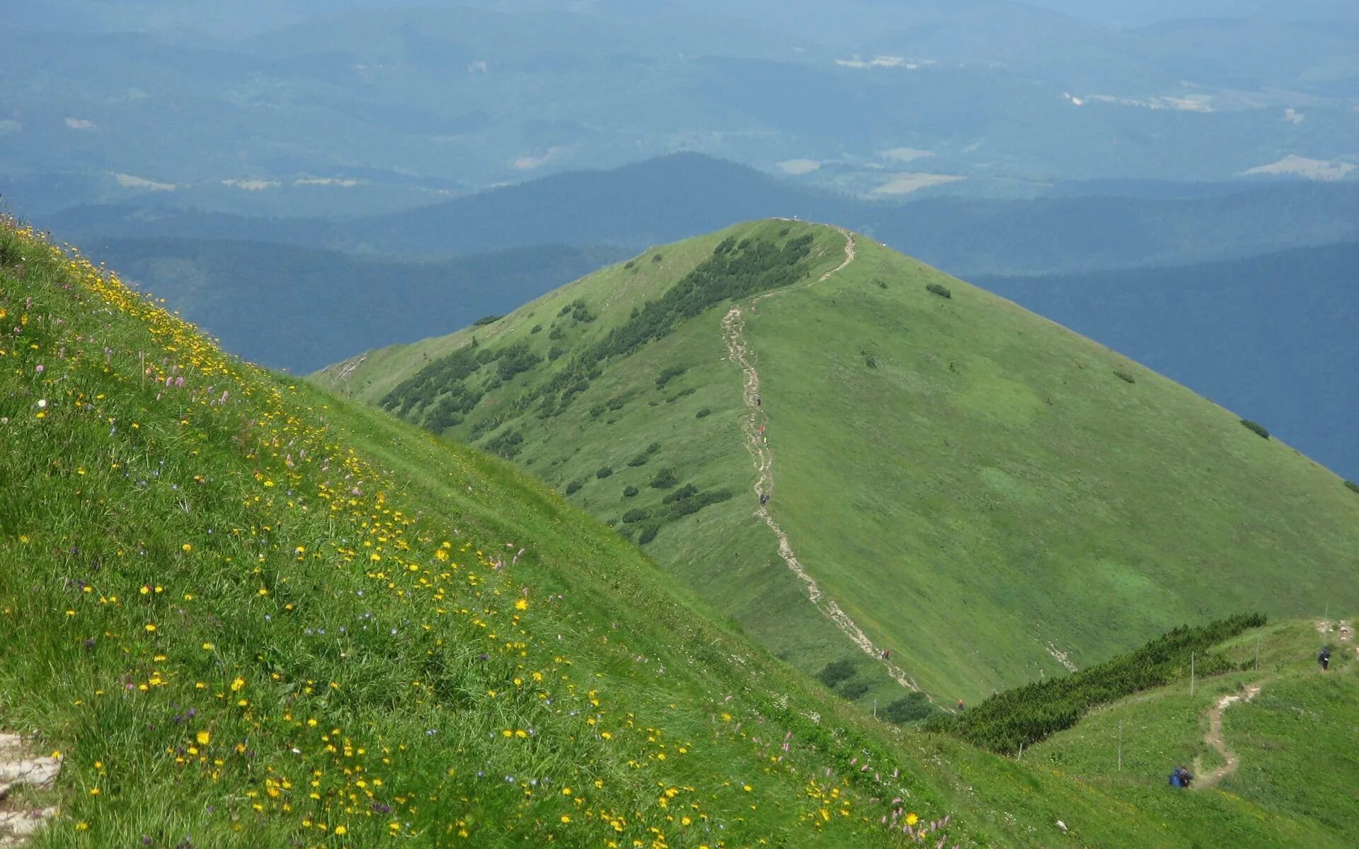 Как называется равнина на горе. Зеленые горы Краснодарский край. Зеленый холм Пятигорск. Холмы Тырново Тринка. Зеленые холмы и горы.