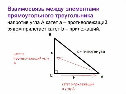 Между катетами 10