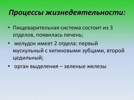Какая структура управляет процессами жизнедеятельности