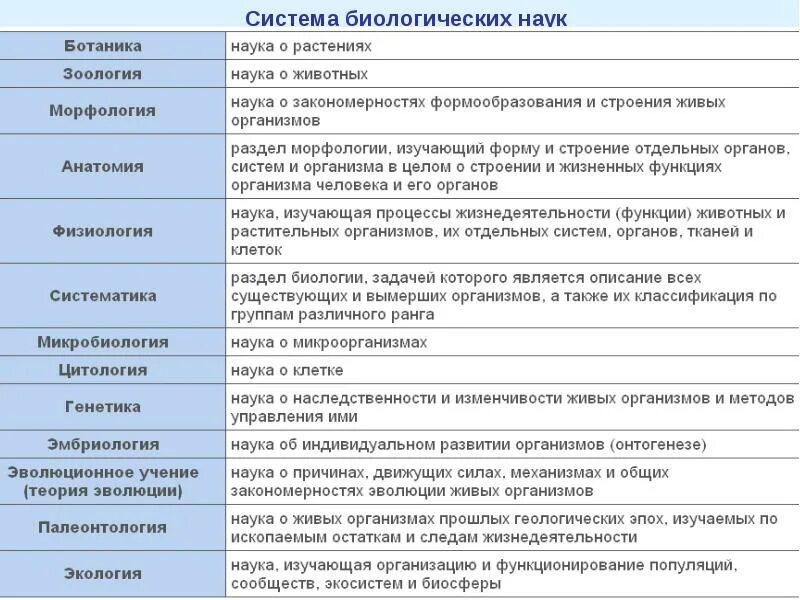 Биология включает науки. Науки биологии и что изучают таблица. науки в биологии список и что они изучают. биологические науки егэ биология таблица. система биологических наук таблица.