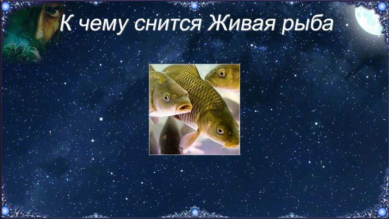 К чему сниться рыбка живая. К чему снится рыба женщине живая. К чему снится рыба. Обои на рабочий стол маленькие рыбки аквариумные. Аквариумные рыбки спят.