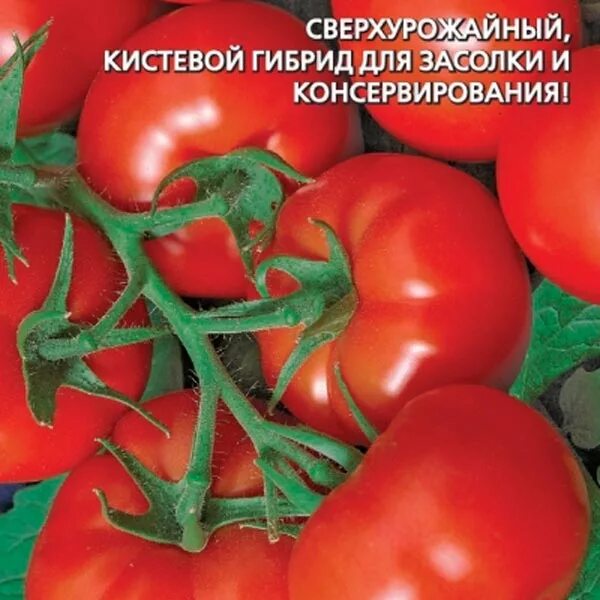 Семена Томат Анна Герман: описание сорта, фото - купить с доставкой или почтой Р - Товар на картинке можно купить.