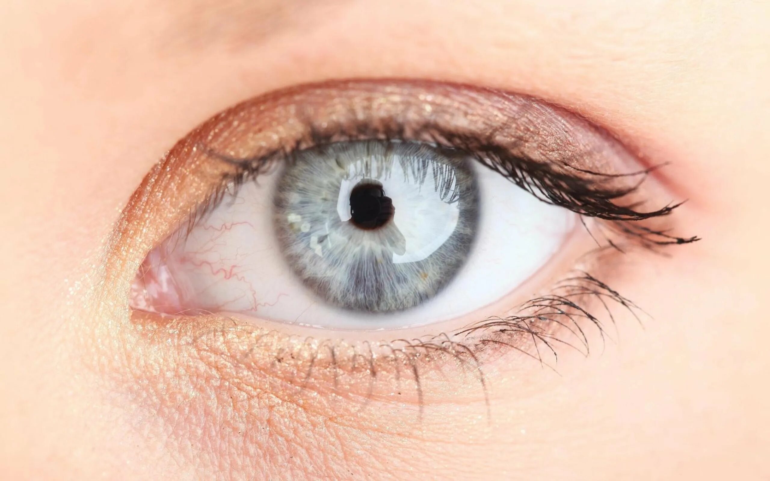 Глаза биологи. Ангулярный конъюнктивит Моракса-Аксенфельда. Глаз человека. Здоровые глаза. Здоровый глаз человека.