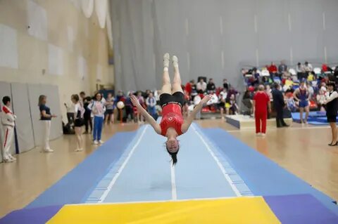Чемпионат по прыжкам 2024