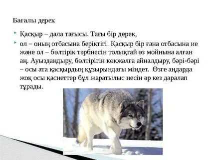 Анфиса Чехованың қатысуымен порно видео