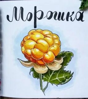 Морошка арт