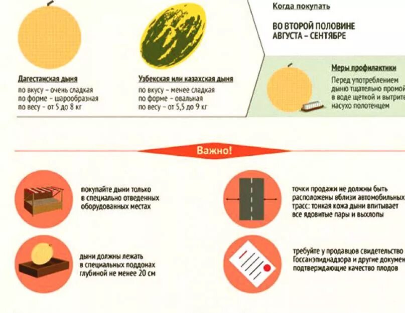 Как отличить сладкий. Как выбрать дыню торпеду. Как выбрать дыню. Как выбрать сладкую дыню торпеду. Выбираем дыню правильно.
