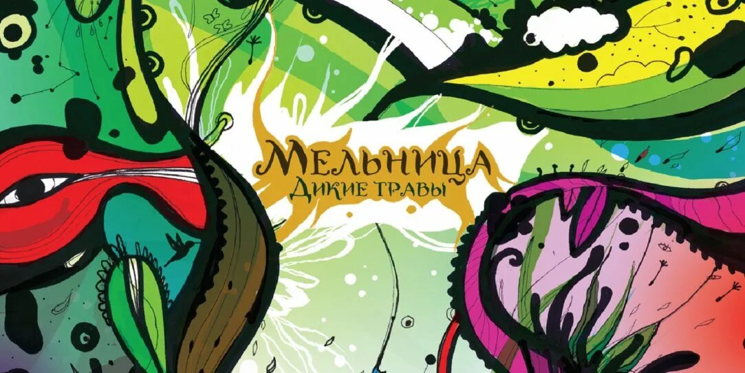 Мельница группа дикие травы. Мельница группа дикие травы. Подушка дикие травы. Мельница дикие травы обложка. Мельница дикие травы обложка.