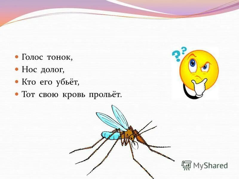 Загадка нос долог голос тонок. Нос долог голос. Голос тонг нос долг кто его убьёт тот свою кровь прольёт ответ. Голос тонок нос долог кто его убьет тот свою кровь прольет. Нос долог голос.