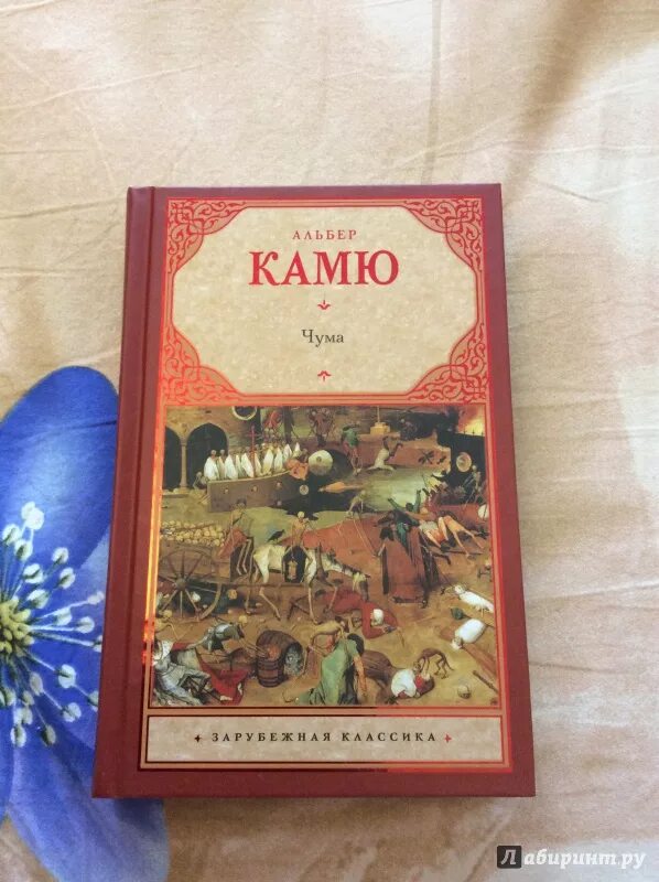 Чума камю книга отзывы. Камю книги. Чума, камю а. Книга чума (камю альбер). Чума, камю а.