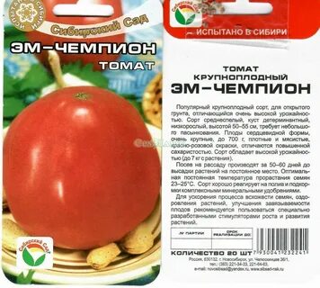 Томаты чемпион описание