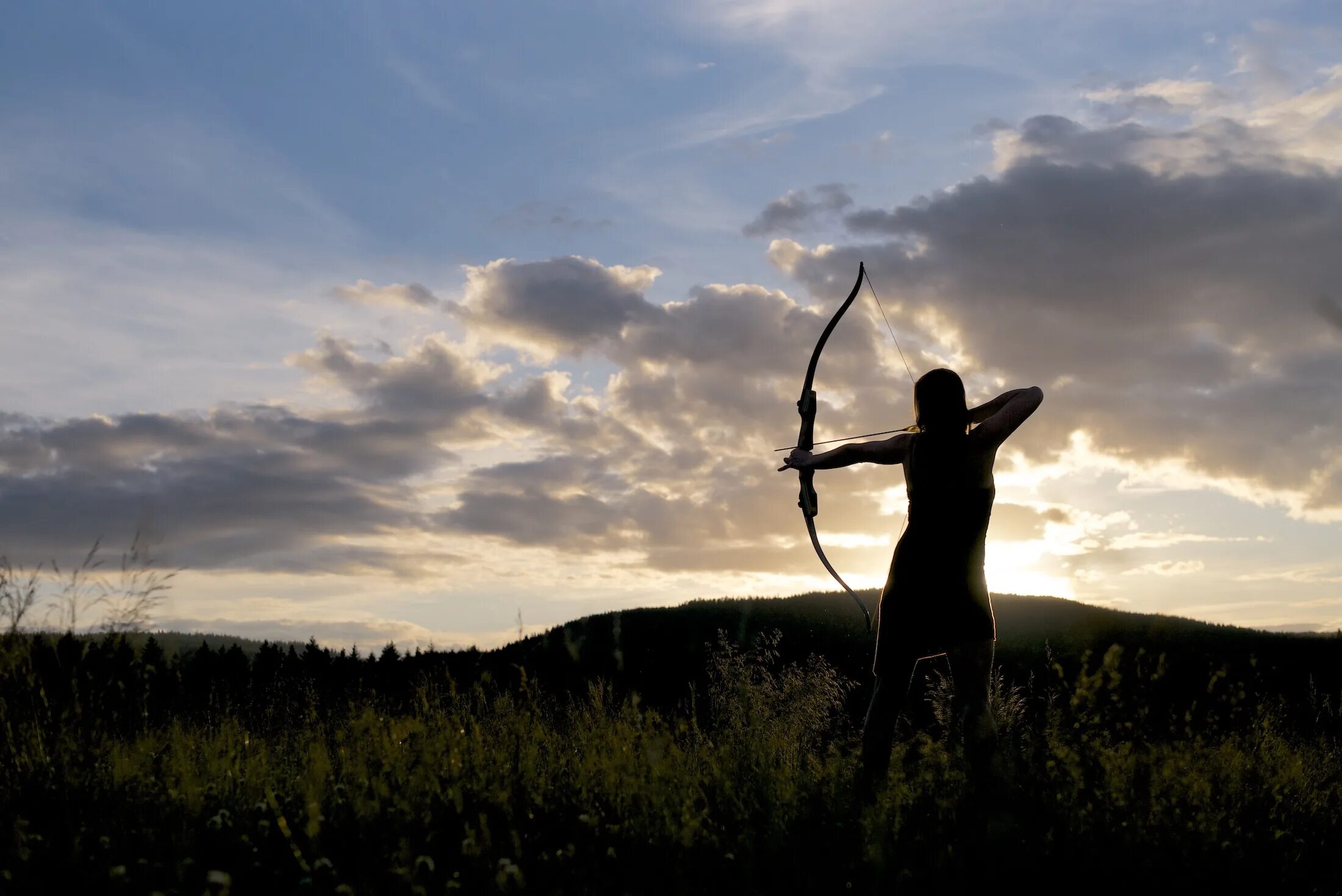 Bow and arrow