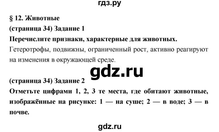 Биология 5 класса параграф 11. Биология 5 класс рабочая тетрадь параграф 12. Конспект по биологии 5 класс параграф 12. Конспект по биологии 5 класс порагроф12.