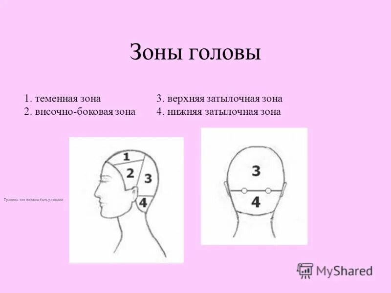 Фронтальная зона головы теменная височная. Теменная зона + теменная затылочная зона. Деление волос на теменную височную и 4 затылочные зоны. Схема теменная зона головы.