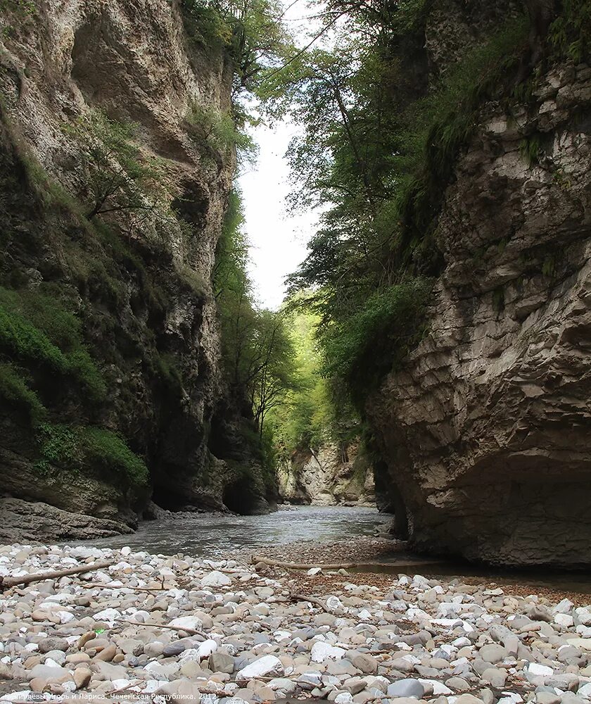 горы кавказа аргунское ущелье. уйти в ущелье. итум-кале аргунское ущелье. учкуланское ущелье махар. уйти в ущелье.