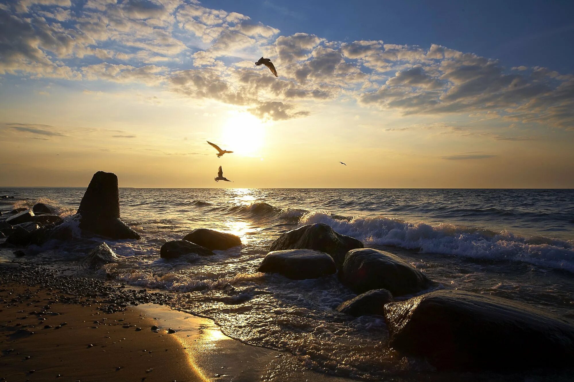 Балтийское море калининград. Финский залив балтийского моря. От балтийский берег до берега моря минус. Финский залив балтийского моря. Балтийское море калининград.