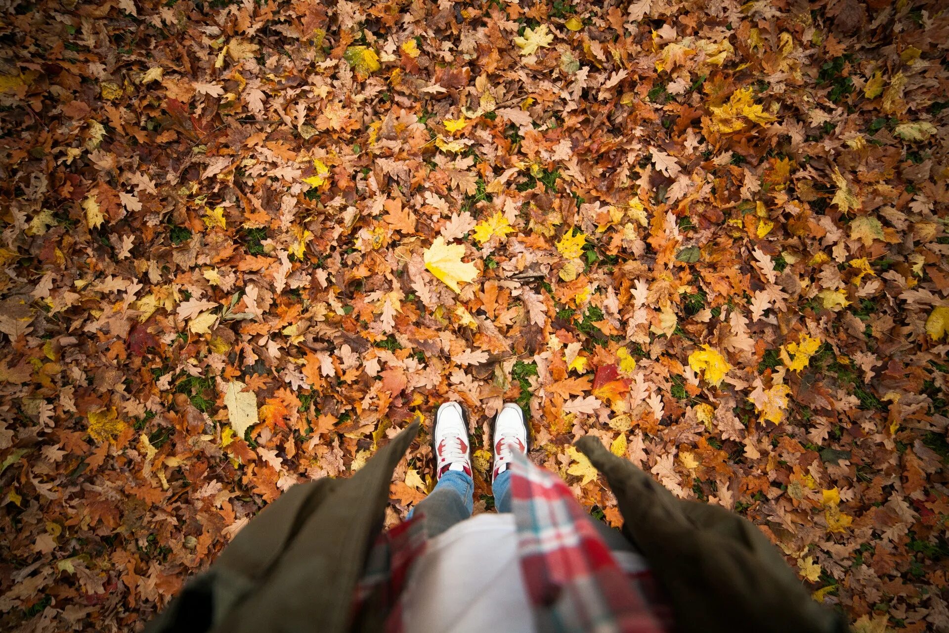 Желтые листья под ногами фото Legs in Boots on the Autumn Leaves. Feet Shoes Stock Image Image of boots, gre