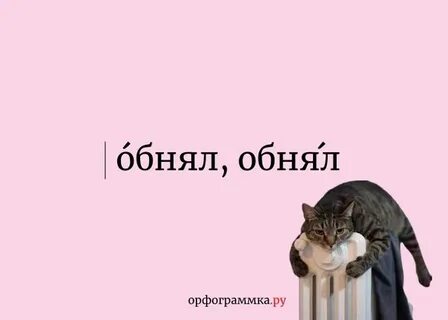 Ударение в слове обнял