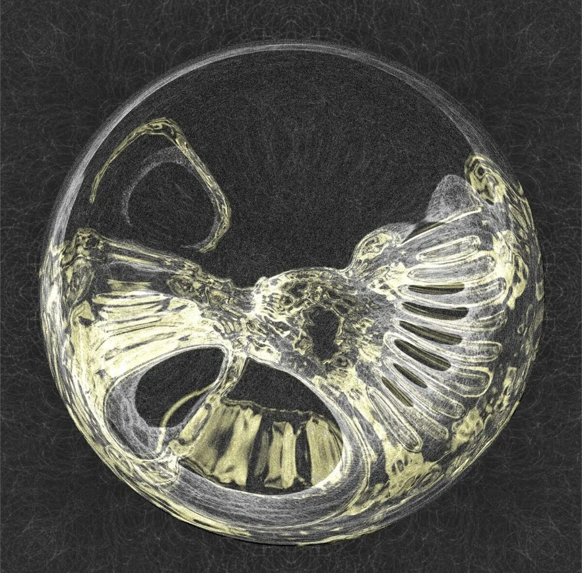 Солнце мертвых обложка. Слава кпсс атлантида. Солнце мёртвых слава кпсс. Солнце мертвых. Солнце мёртвых слава кпсс мерч.