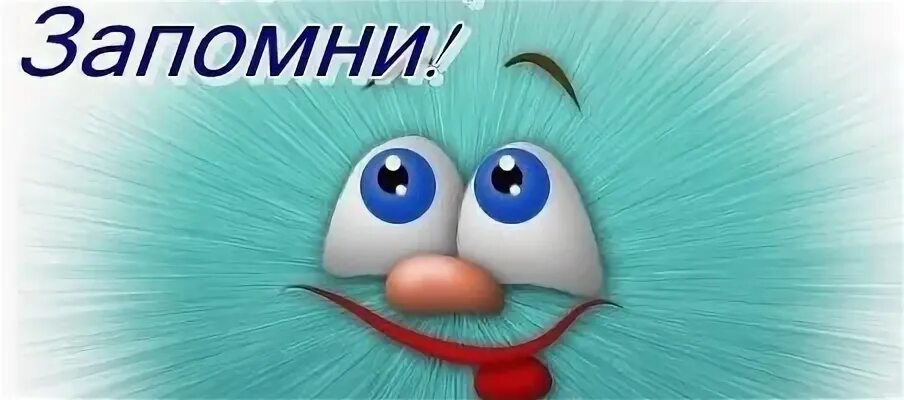 Скажи запомни