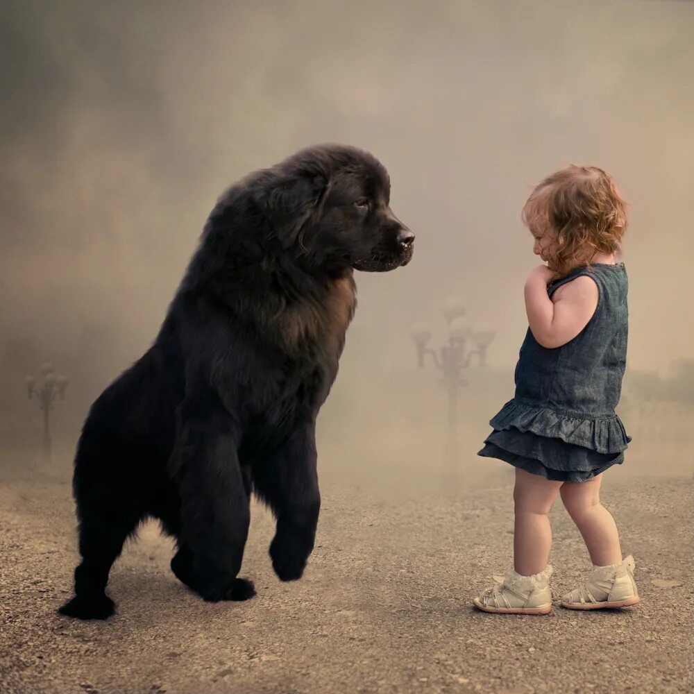 Боится больших собак. Собака для детей. Девочка и большая собака. Маленькая девочка и большая собака. Огромная собака с ребенком.