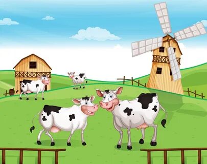 Hu cow farm