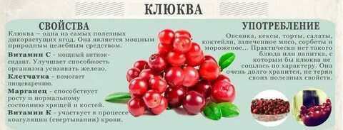 Полезные свойства для детей