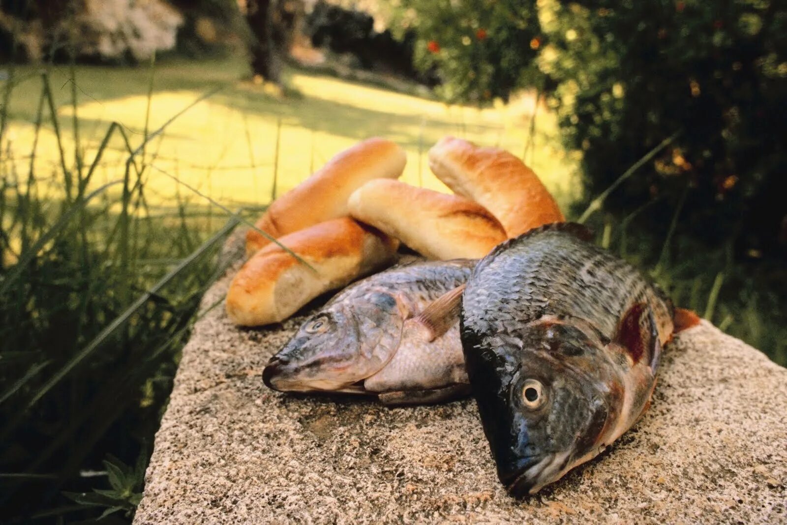 4-1. Crazy fish nimble 2. 2 2 fish 5 5. корзина с рыбой. набор грузов дробинка 120гр 0.