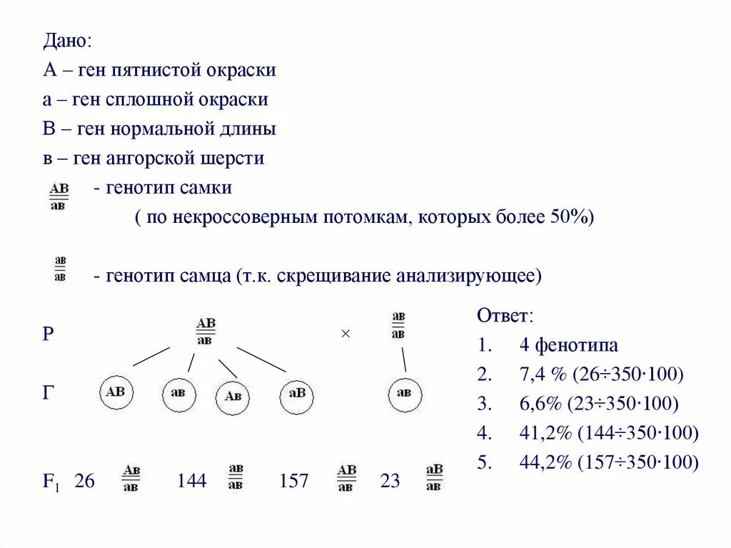 Решение генетических задач по биологии на сцепленное наследование. Сцепленное наследование генов 10 класс. Сцепленное наследование генов и кроссинговер презентация. Сцепленное наследование генов 9 класс биология. Селекционер скрестил гетерозиготную кошку с жесткой шерстью