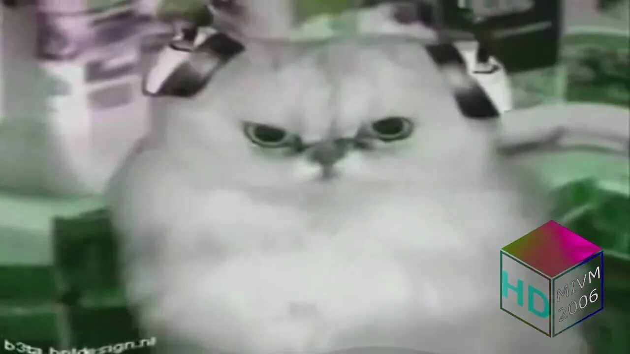 Preview 2 numa cat effects. Numa cat) in dma. 64 preview 2 numa numa cats dexter64 mii the gamer. too many preview 2 numa cats. too many preview 2 numa cats dexter olley the gamer 2010.