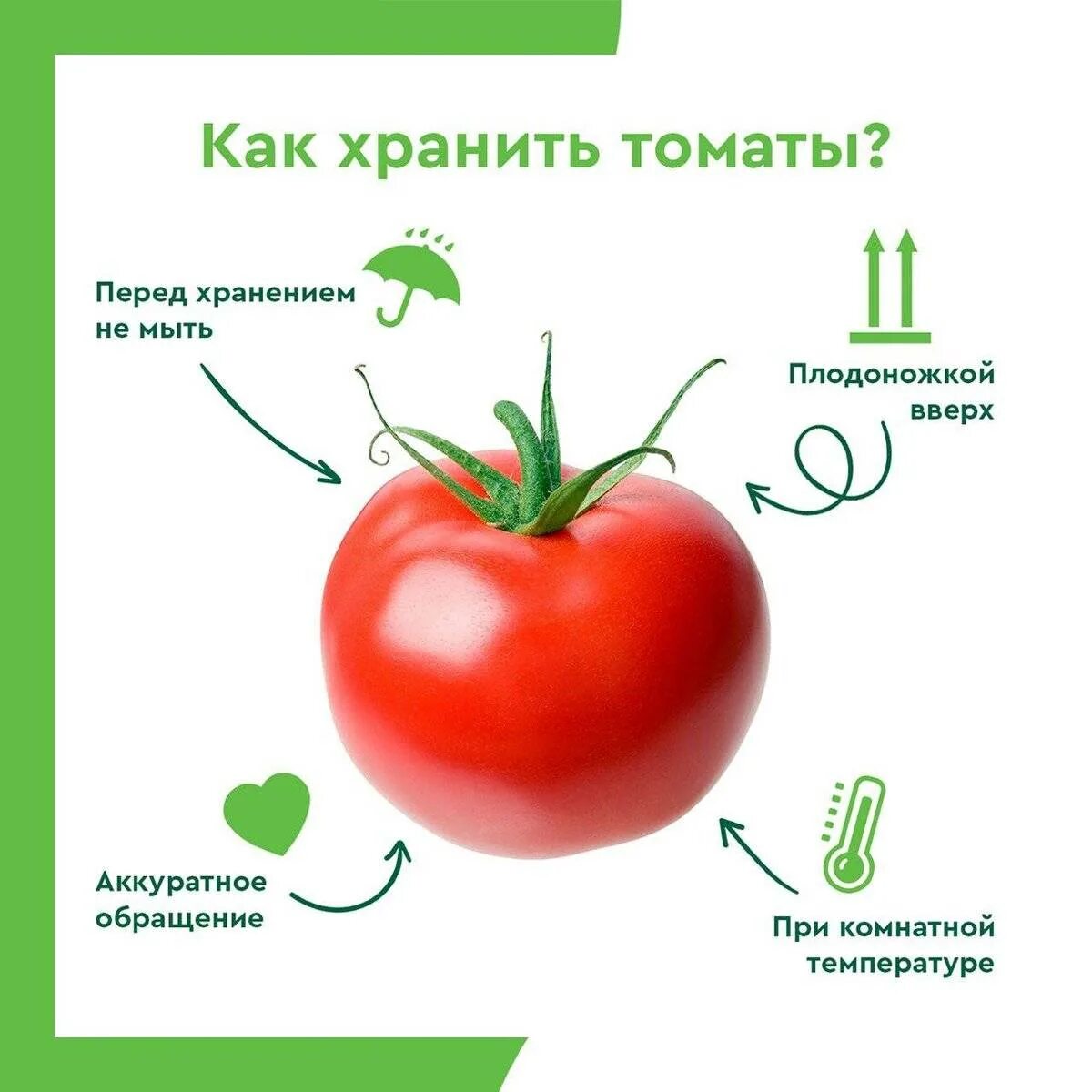 Как хранить помидоры в домашних условиях. Томаты. Условия хранения помидоров свежих. Условия хранения томатов. Как хранятся помидоры.