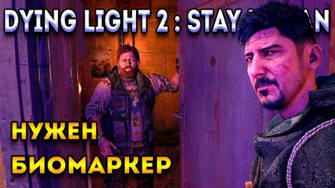 Пилигрим дайн лайт