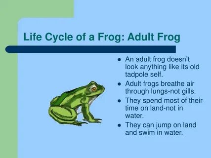 Песня i can jump a frog