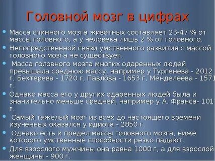 Какая масса головного мозга взрослого человека