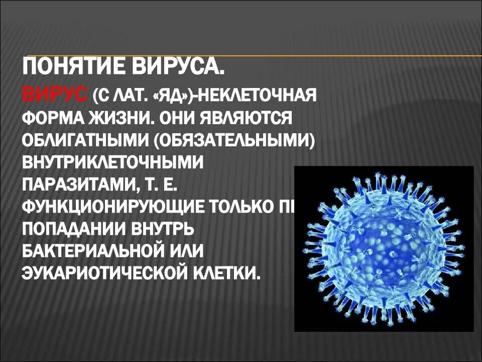 Вирус является формой жизни