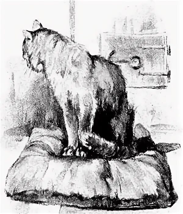 каштанка кот и гусь