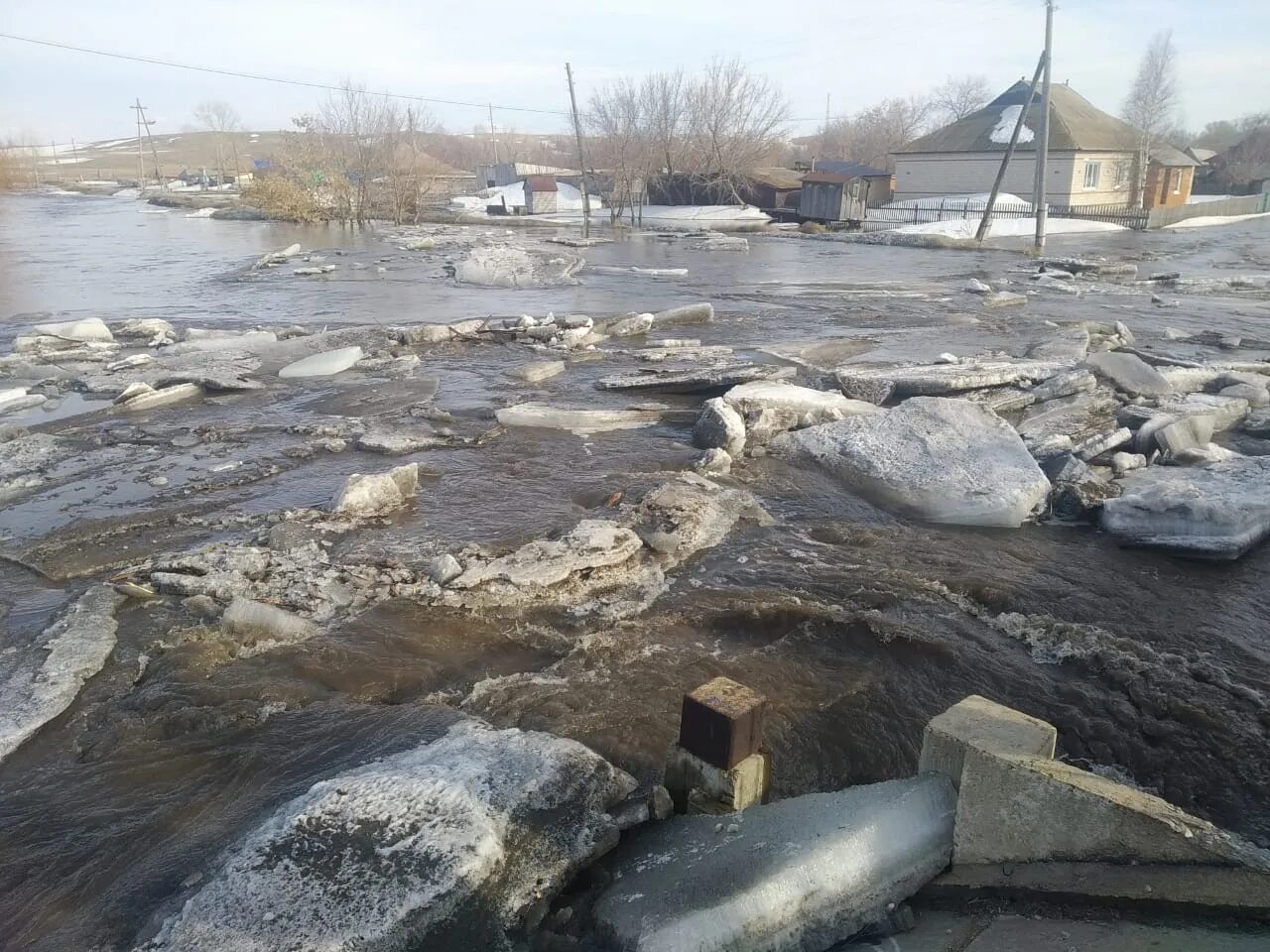 Погода рп5 курья алтайский курьинский. Село Усть Таловка Курьинский район. Курья (Курьинский район). Алтайский край Курьинский район село Усть-Таловка. Усть-Таловка Курьинский район лес.