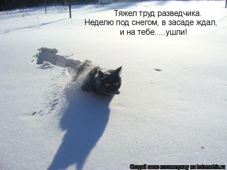 снег в марте приколы. открытка опять снег. опять пришла зима. опять снег весной. опять снег.